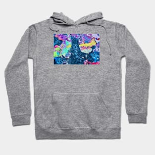 Colors of ephemeral art VII / Swiss Artwork Photography Hoodie